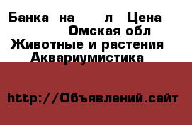 Банка  на  500 л › Цена ­ 10 000 - Омская обл. Животные и растения » Аквариумистика   